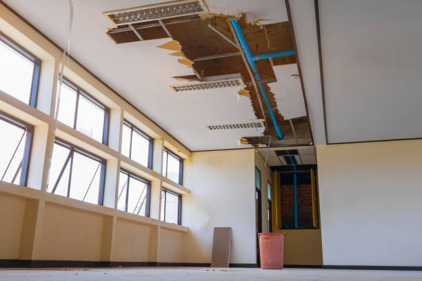 Best Ceiling water damage repair  in Greeneville, TN