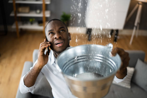 Best Water damage restoration near me  in Greeneville, TN
