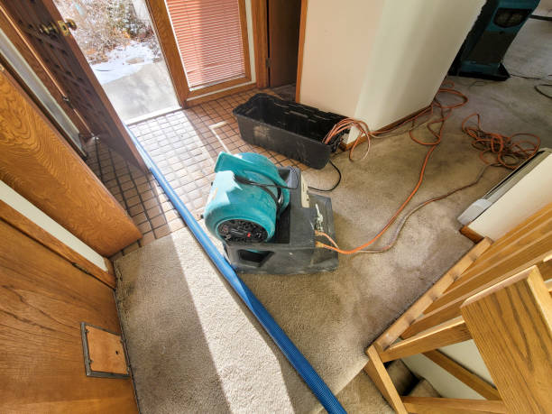 Best Water damage repair service  in Greeneville, TN