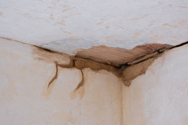 Best Water damage restoration near me  in Greeneville, TN