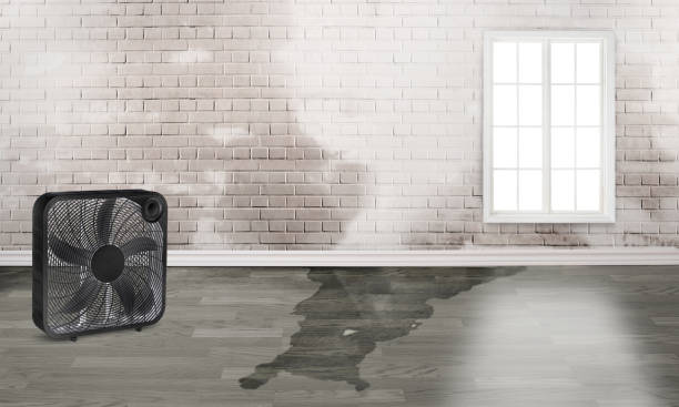 Greeneville, TN Water damage restoration Company