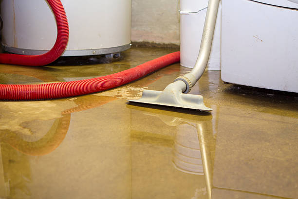 Best 24-hour water damage restoration  in Greeneville, TN
