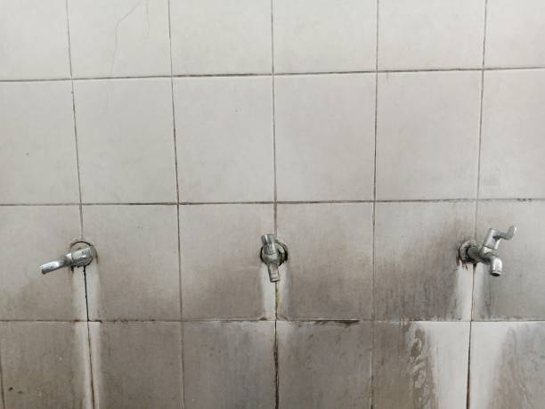 Best Water damage restoration mold remediation  in Greeneville, TN