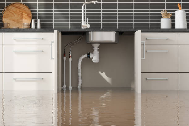 Best Professional water damage repair  in Greeneville, TN