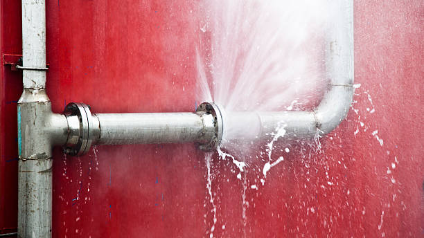 Best Commercial water damage restoration  in Greeneville, TN